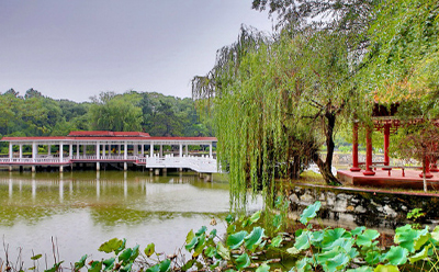 学院湖畔风景