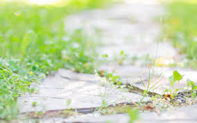 金华自考报考公务员有限制吗