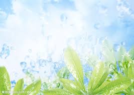 金华自考需要的要求和资格是什么