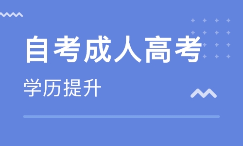 自学考试 自学考试