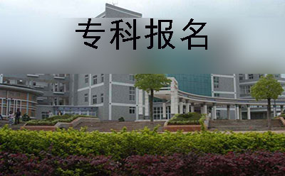 学院绿植