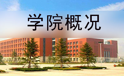 学院绿植